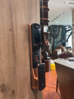 Khóa thông minh nhận diện khuôn mặt Philips DDL709