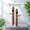 Khóa thông minh tân cổ điển Lizman LM-CL007