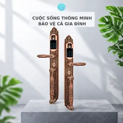 Khóa thông minh tân cổ điển Lizman LM-CL007