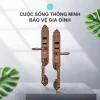 Khóa thông minh tân cổ điển Lizman LM-CL1108