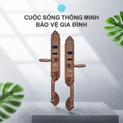 Khóa thông minh tân cổ điển Lizman LM-CL1108