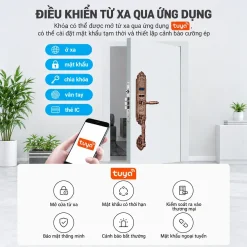 Khóa thông minh tân cổ điển Lizman LM-CL1108