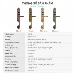 Khóa thông minh tân cổ điển Lizman LM-CL1108