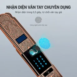 Khóa thông minh tân cổ điển Lizman LM-CL1108