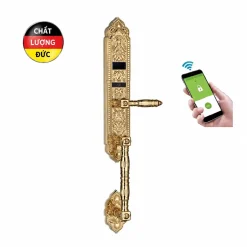 Khóa thông minh tân cổ điển Lizman LM-CL1108