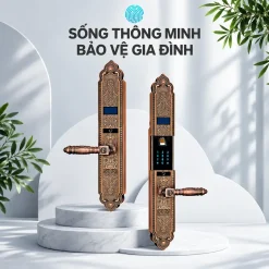 Khóa thông minh tân cổ điển Lizman LM-CS1108