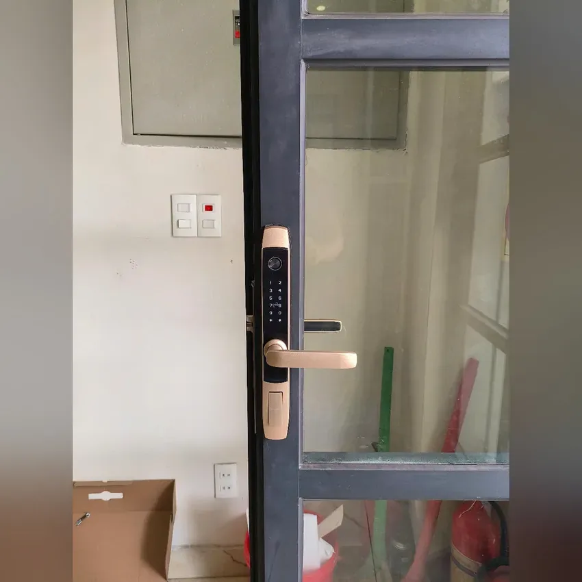 Khoá vân tay cửa nhôm Lizman LM-D1