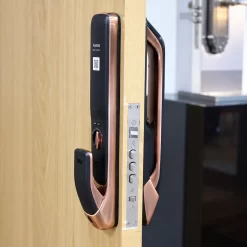 Khóa vân tay Kaadas K20F có Face ID