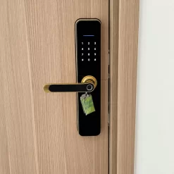 Khóa vân tay Kassler KL 696SB có App Wifi