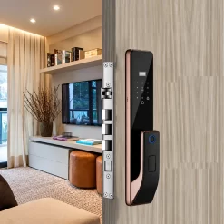 Khóa vân tay Kassler KL 828F có Face ID, App wifi