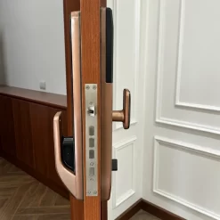 Khóa vân tay Kassler KL 828F có Face ID, App wifi