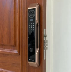 Khóa vân tay Kassler KL 889 CNC Plus có Face ID, App wifi