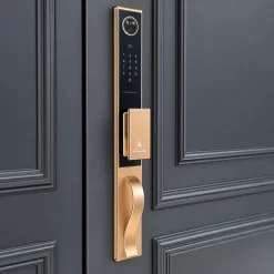 Khóa vân tay Kassler KL988-CNC có Face ID, chuông hình