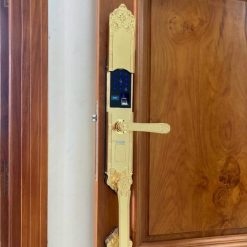 Khóa vân tay tân cổ điển Kaimi DS101 cửa đại sảnh