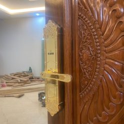 Khóa vân tay tân cổ điển Kaimi DS101 cửa đại sảnh