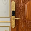 Khóa vân tay tân cổ điển Kassler KL-929
