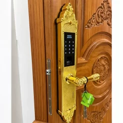 Khóa vân tay tân cổ điển Kassler KL-959