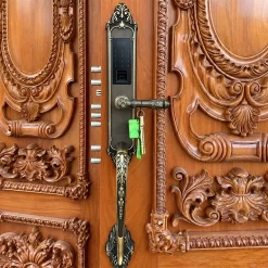 Khóa vân tay tân cổ điển Kassler KL-969