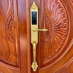 Khóa vân tay tân cổ điển Kassler KL-969