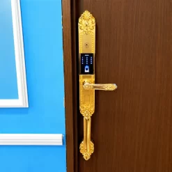 Khóa vân tay tân cổ điển Kassler KL-979