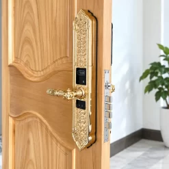 Khóa vân tay tân cổ điển Kassler KL 989 đúc đồng nguyên khối Face ID