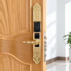 Khóa vân tay tân cổ điển Kassler KL 989 đúc đồng nguyên khối Face ID