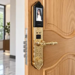 Khóa vân tay tân cổ điển Kassler KL 989 đúc đồng nguyên khối Face ID