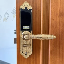 Khóa vân tay tân cổ điển Kassler KL919
