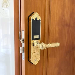 Khóa vân tay tân cổ điển Kassler KL919
