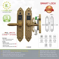 Khóa vân tay tân cổ điển Kassler KL919