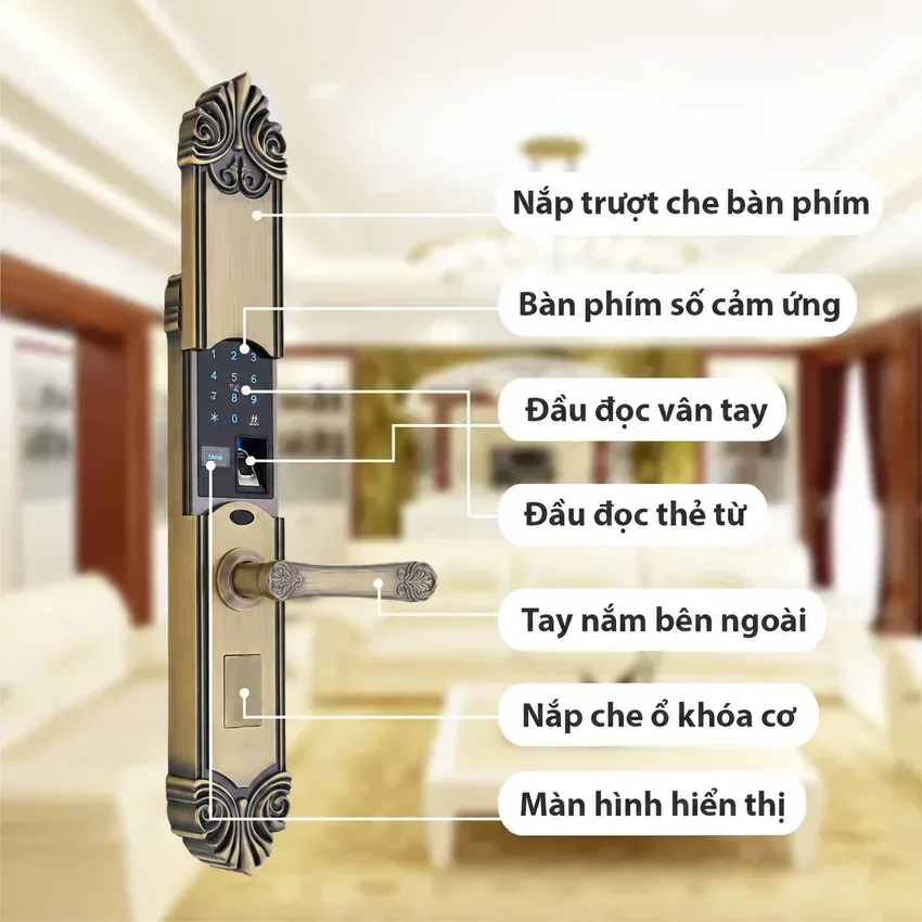 Hướng dẫn và giới thiệu các tiện ích trên Kitos KT C200 Các tiện ích thông minh trên khóa cửa vân tay Kitos KT C200