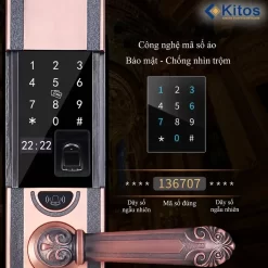 Khóa vân tay tân cổ điển Kitos KT C500