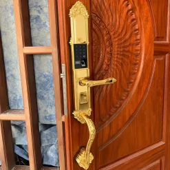 Khóa vân tay tân cổ điển Kitos KT C800