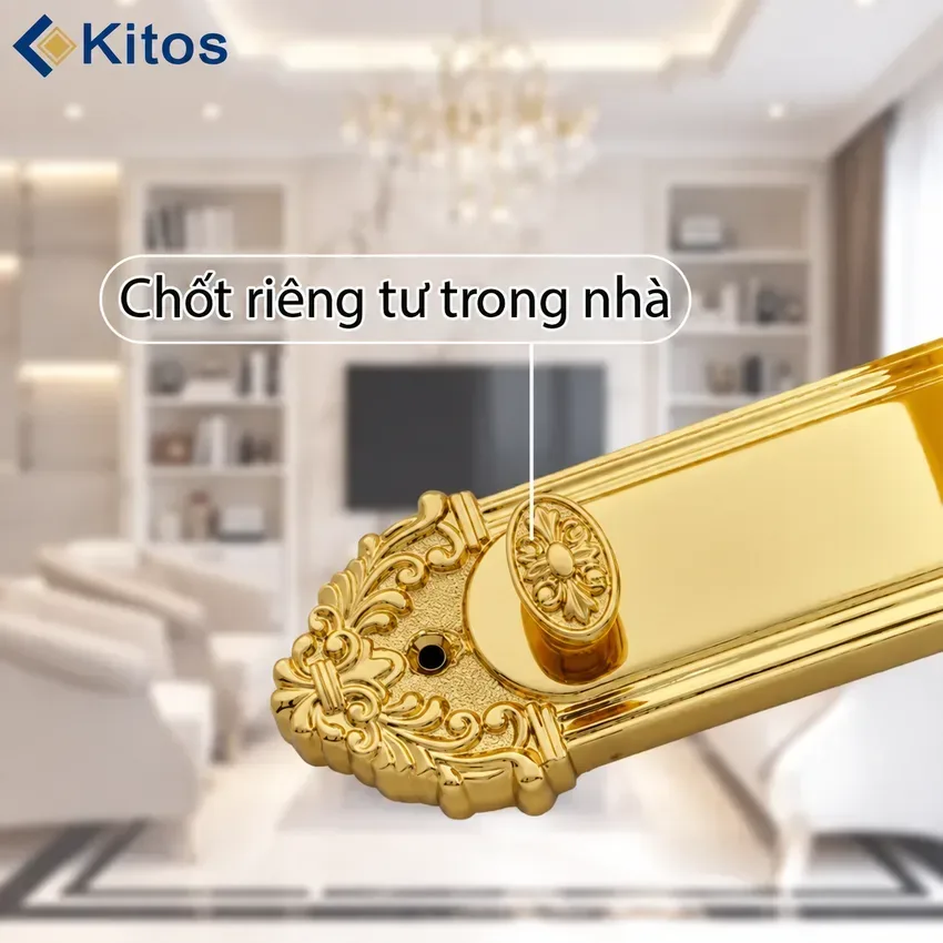 Khóa Kitos KT C800 trên nhiều loại cửa đại sảnh Ứng dụng thực tế Khóa vân tay Kitos KT C800