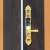 Khóa vân tay tân cổ điển Kitos KT C810