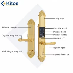 Khóa vân tay tân cổ điển Kitos KT C810