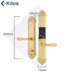 Khóa vân tay tân cổ điển Kitos KT C810